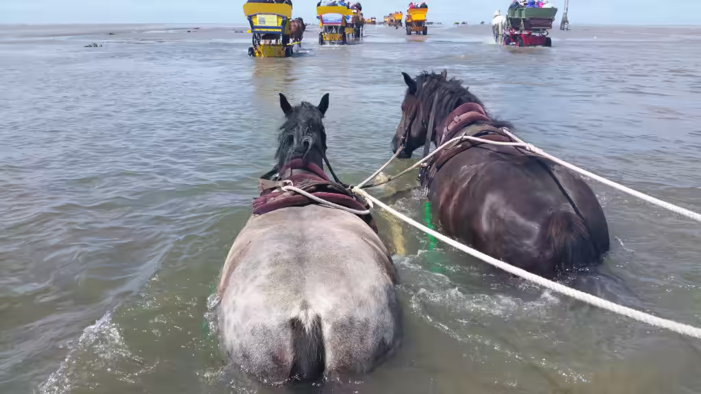 Top Sehenswürdigkeiten Cuxhaven – Kompletter Guide